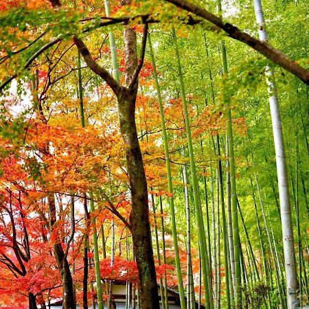 Kyoto Yadomachi Nishijin Apartman Kültér fotó