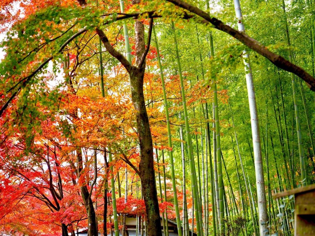 Kyoto Yadomachi Nishijin Apartman Kültér fotó